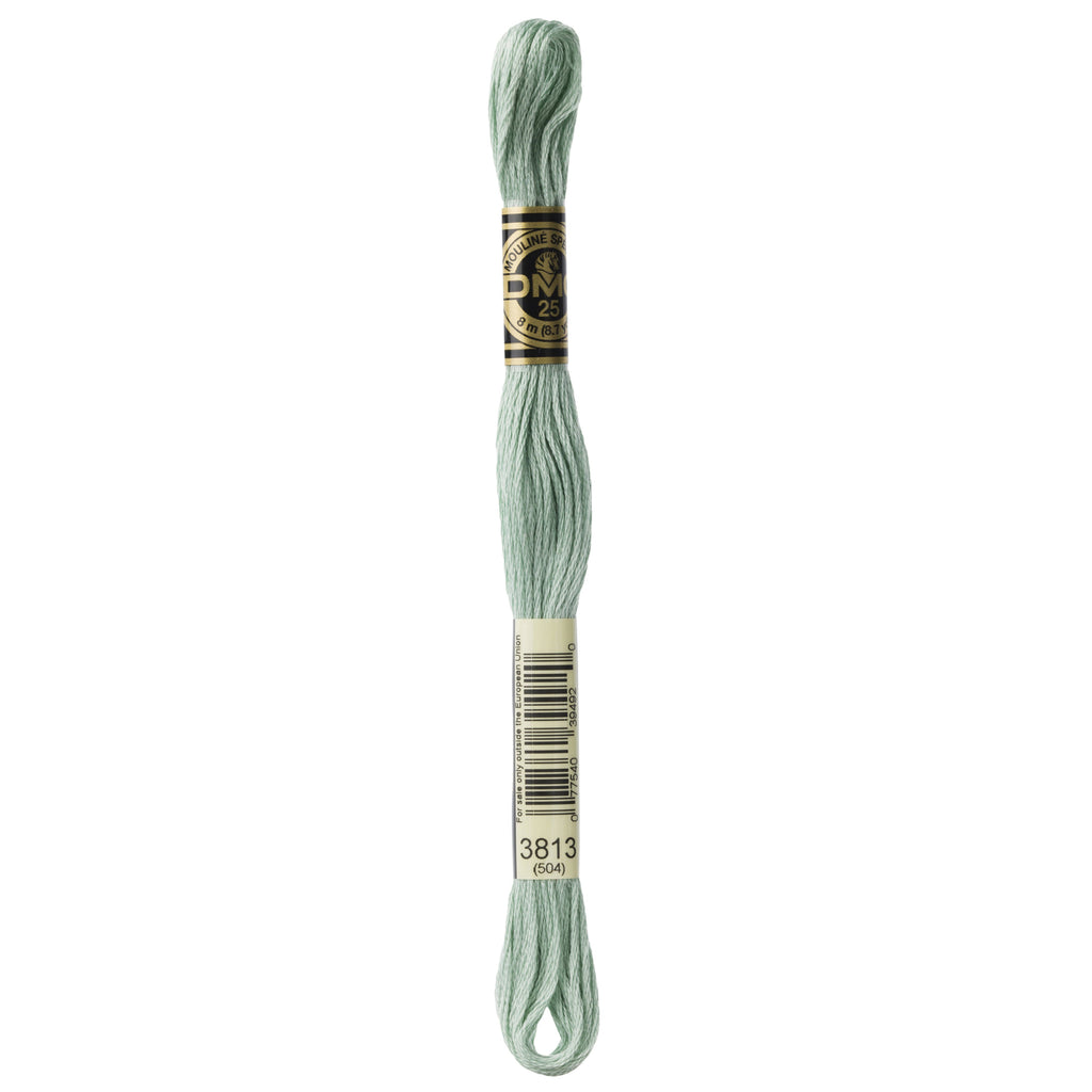 DMC Thread DMC Mouliné Stranded Cotton Embroidery Thread - Light Blue Green 3813