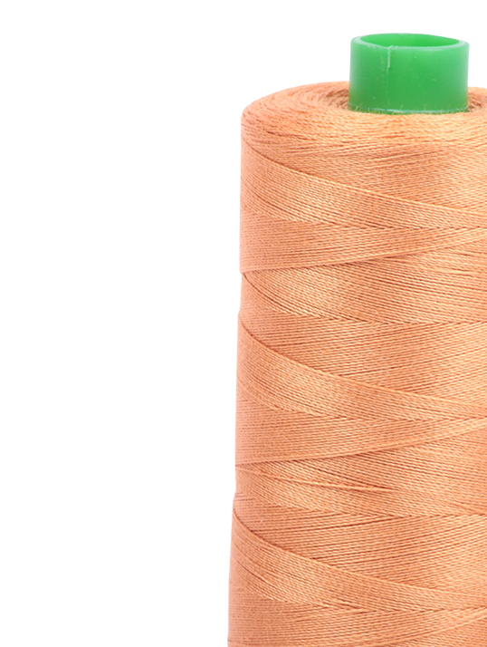 Aurifil Thread Aurifil Cotton Quilting Thread - 40wt - 1000m - 2210