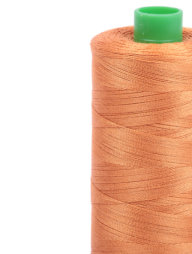 Aurifil Thread Aurifil Cotton Quilting Thread - 40wt - 1000m - 5009
