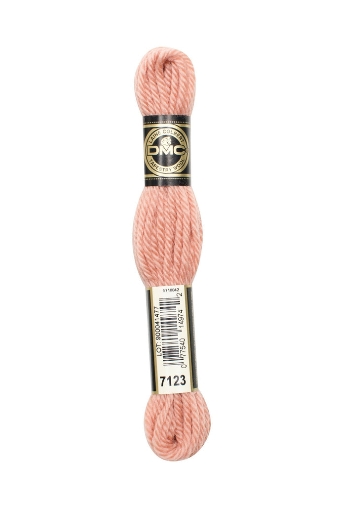 DMC Tapestry Wool - 7123 Peach - The Eternal Maker - UK Fabric Shop