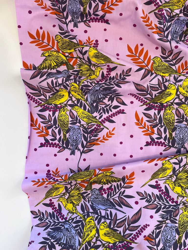 Free Spirit Fabrics Fabric Visitation in Lilac - Bright Eyes - Anna Maria Horner - Free Spirit