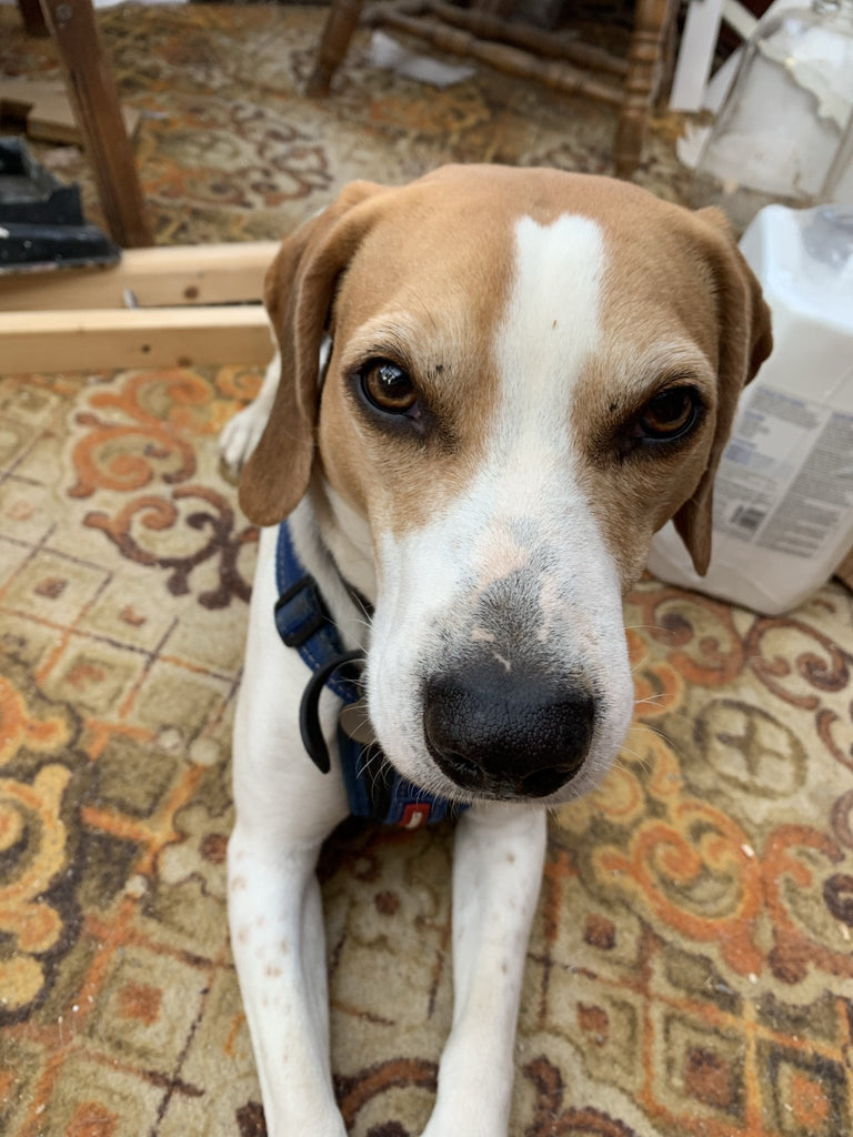 Lighthouse Ribbon x 1m - The Eternal Maker - UK Fabric Shop