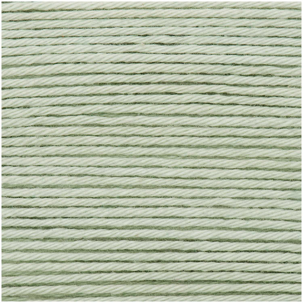 Ricorumi - DK - Mint 041 - 25g - The Eternal Maker - UK Fabric Shop