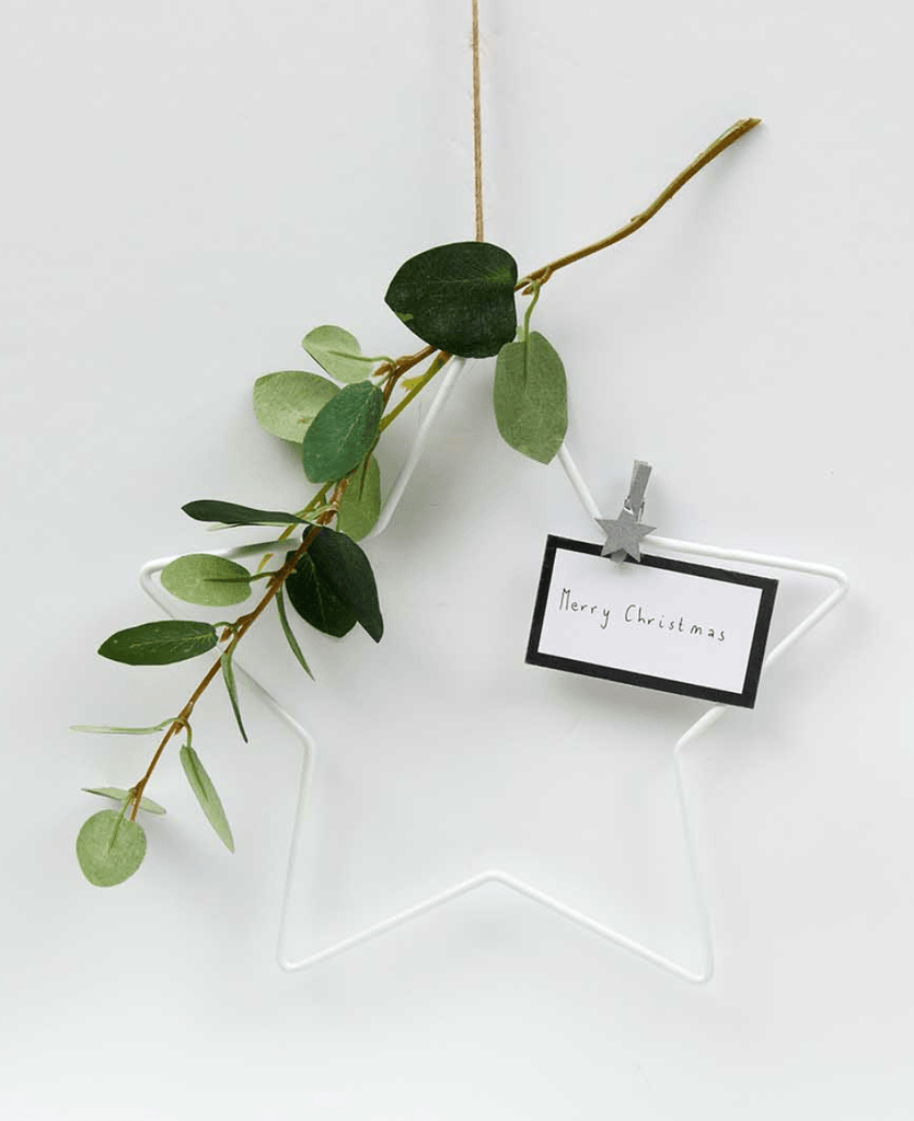 Silver Star 30mm Pegs - Pack of 8 - The Eternal Maker - UK Fabric Shop