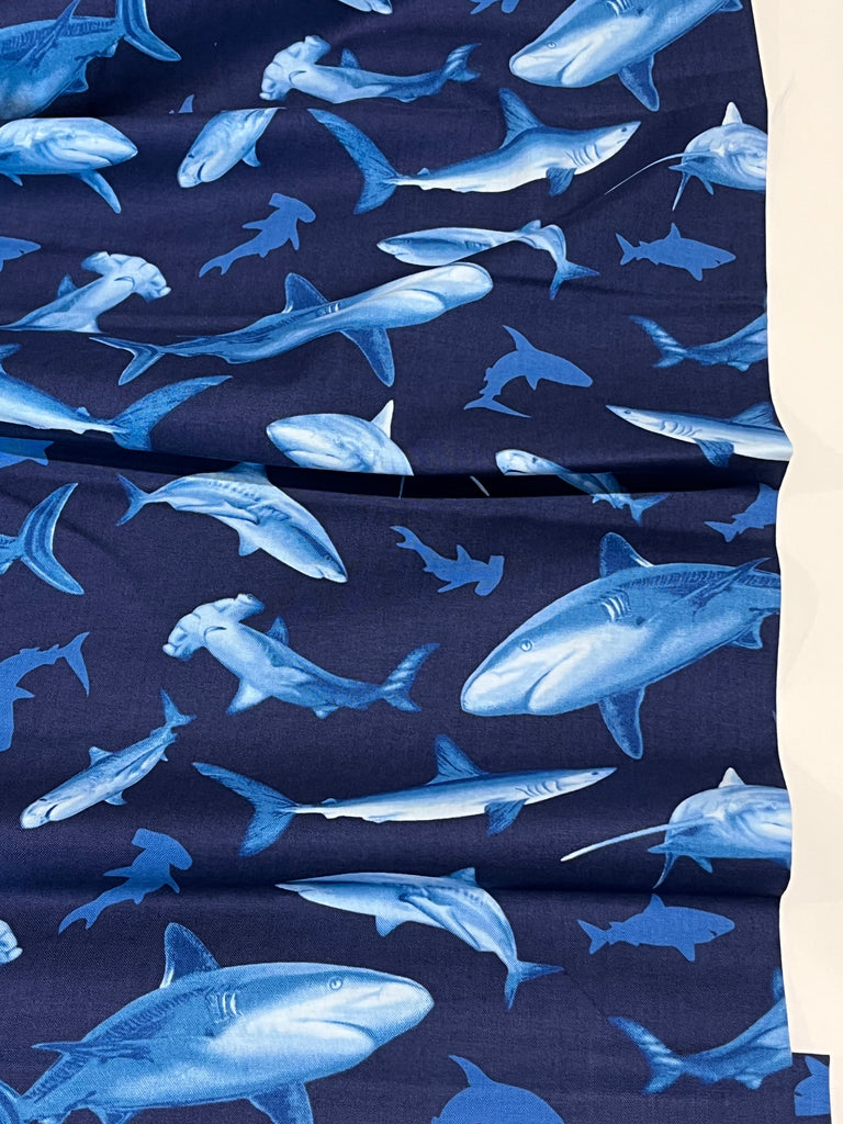 Studio E Fabric Sharks - Indigo Coastal - Studio E
